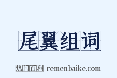 尾翼组词是什么意思的图片